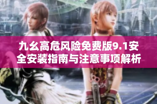 九幺高危风险免费版9.1安全安装指南与注意事项解析