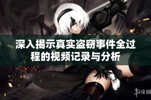 深入揭示真实盗窃事件全过程的视频记录与分析