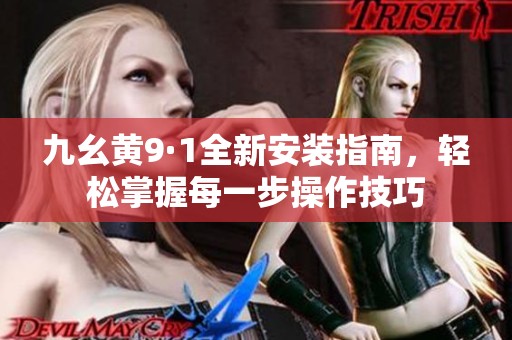 九幺黄9·1全新安装指南，轻松掌握每一步操作技巧