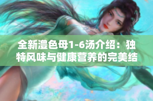 全新澧色母1-6汤介绍：独特风味与健康营养的完美结合