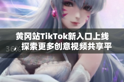 黄冈站TikTok新入口上线，探索更多创意视频共享平台！