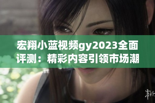 宏翔小蓝视频gy2023全面评测：精彩内容引领市场潮流