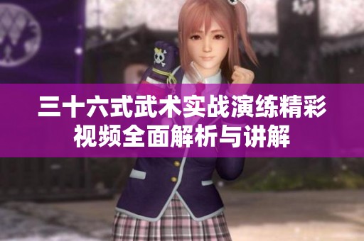 三十六式武术实战演练精彩视频全面解析与讲解