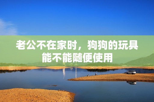 老公不在家时，狗狗的玩具能不能随便使用