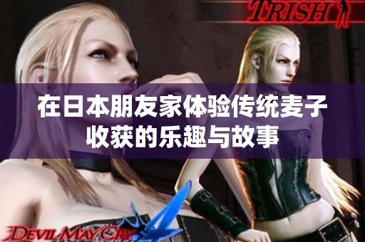 在日本朋友家体验传统麦子收获的乐趣与故事