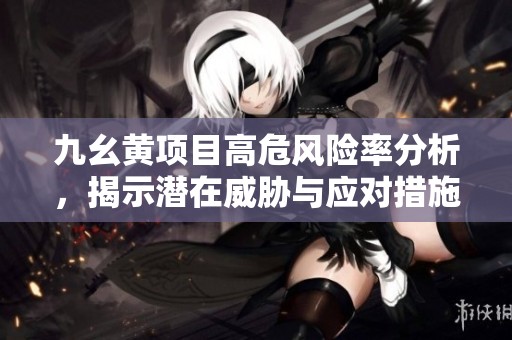 九幺黄项目高危风险率分析，揭示潜在威胁与应对措施