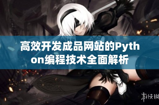 高效开发成品网站的Python编程技术全面解析