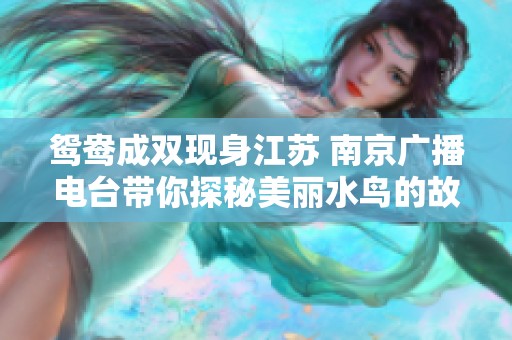 鸳鸯成双现身江苏 南京广播电台带你探秘美丽水鸟的故事