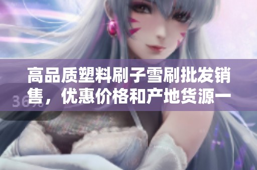 高品质塑料刷子雪刷批发销售，优惠价格和产地货源一站式服务
