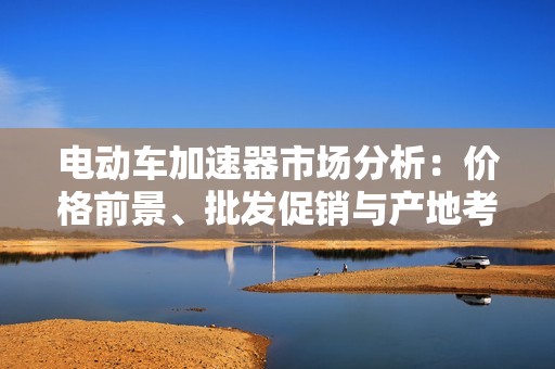 电动车加速器市场分析：价格前景、批发促销与产地考察