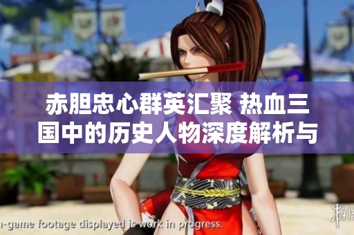 赤胆忠心群英汇聚 热血三国中的历史人物深度解析与新解读