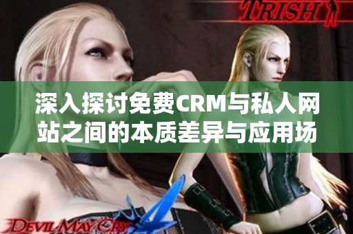 深入探讨免费CRM与私人网站之间的本质差异与应用场景