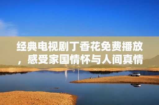 经典电视剧丁香花免费播放，感受家国情怀与人间真情