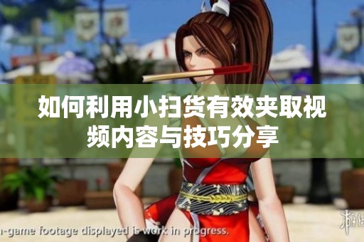 如何利用小扫货有效夹取视频内容与技巧分享