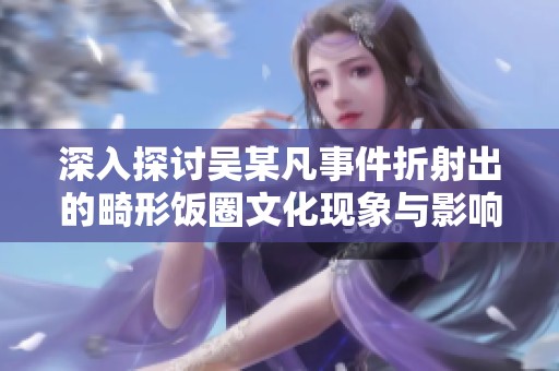 深入探讨吴某凡事件折射出的畸形饭圈文化现象与影响