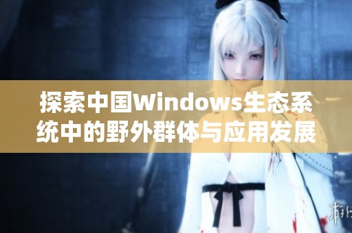 探索中国Windows生态系统中的野外群体与应用发展潜力