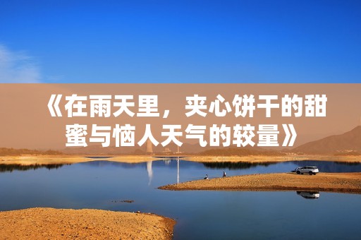 《在雨天里，夹心饼干的甜蜜与恼人天气的较量》