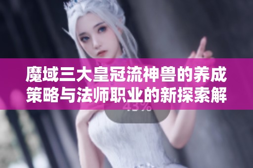 魔域三大皇冠流神兽的养成策略与法师职业的新探索解析