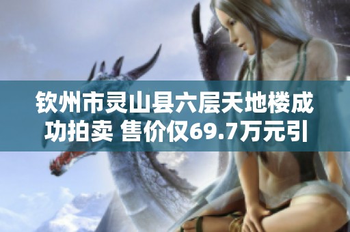 钦州市灵山县六层天地楼成功拍卖 售价仅69.7万元引关注