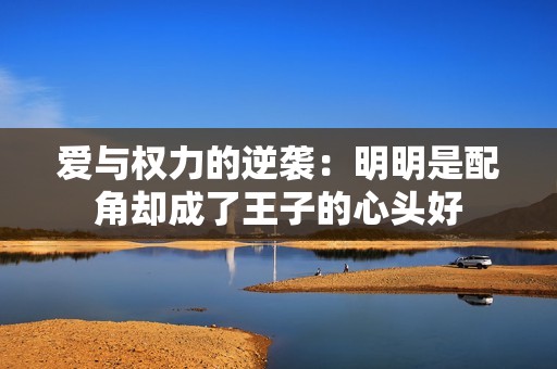 爱与权力的逆袭：明明是配角却成了王子的心头好