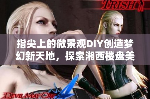 指尖上的微景观DIY创造梦幻新天地，探索湘西楼盘美好生活