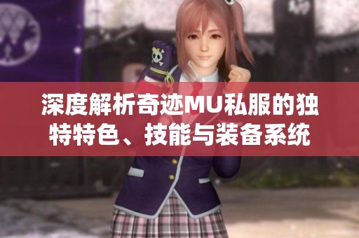 深度解析奇迹MU私服的独特特色、技能与装备系统