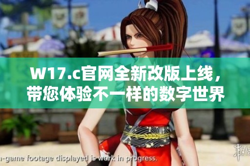 W17.c官网全新改版上线，带您体验不一样的数字世界