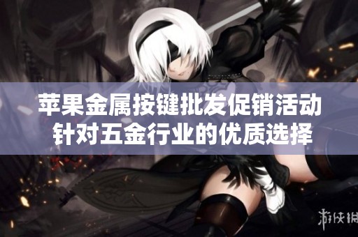 苹果金属按键批发促销活动 针对五金行业的优质选择与价格优势