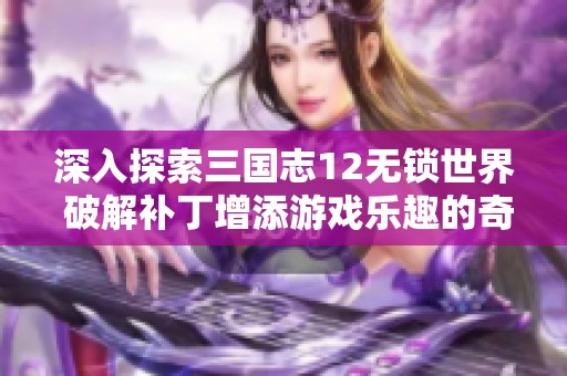 深入探索三国志12无锁世界 破解补丁增添游戏乐趣的奇妙结合