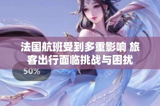 法国航班受到多重影响 旅客出行面临挑战与困扰