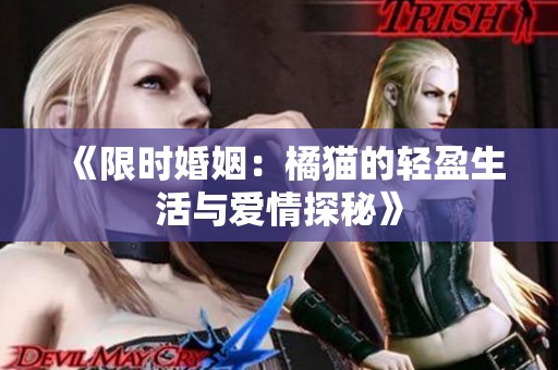 《限时婚姻：橘猫的轻盈生活与爱情探秘》