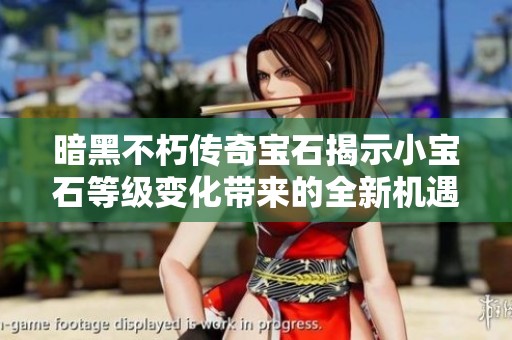 暗黑不朽传奇宝石揭示小宝石等级变化带来的全新机遇