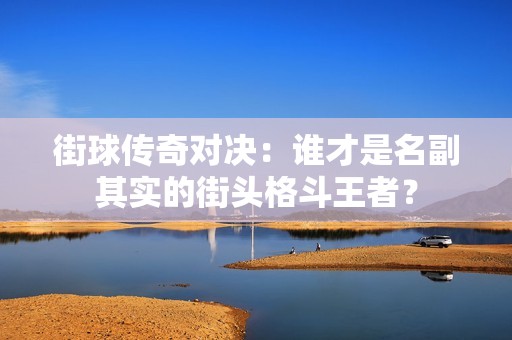 街球传奇对决：谁才是名副其实的街头格斗王者？