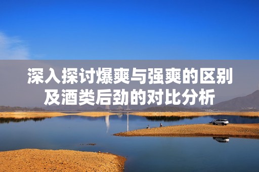 深入探讨爆爽与强爽的区别及酒类后劲的对比分析