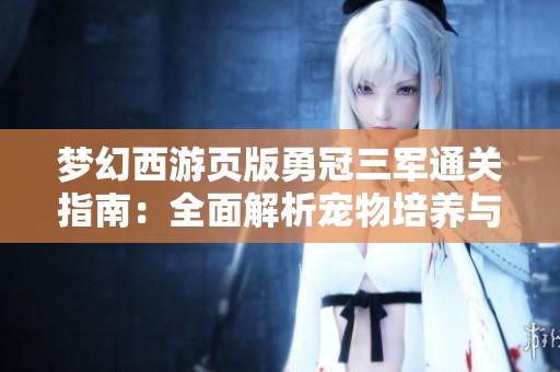 梦幻西游页版勇冠三军通关指南：全面解析宠物培养与战斗辅助技巧