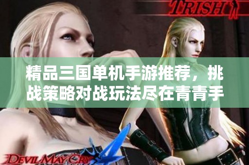 精品三国单机手游推荐，挑战策略对战玩法尽在青青手游网