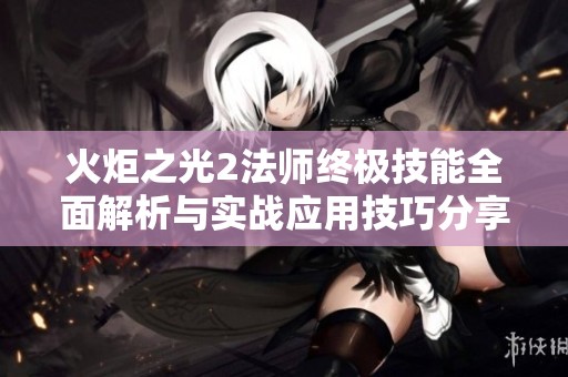 火炬之光2法师终极技能全面解析与实战应用技巧分享