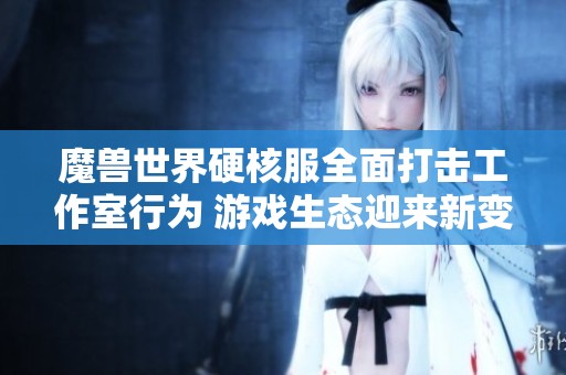 魔兽世界硬核服全面打击工作室行为 游戏生态迎来新变革