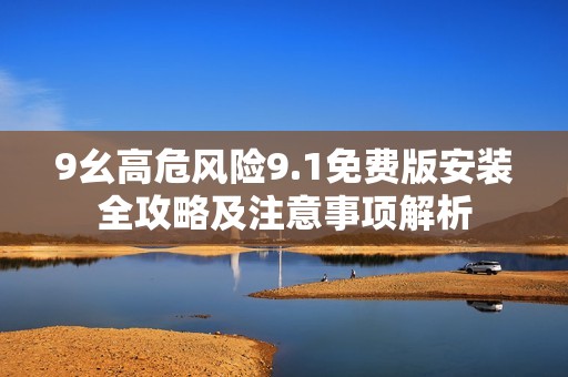 9幺高危风险9.1免费版安装全攻略及注意事项解析
