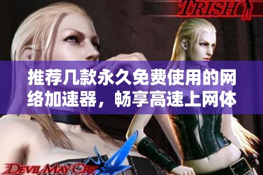 推荐几款永久免费使用的网络加速器，畅享高速上网体验