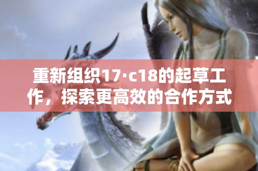 重新组织17·c18的起草工作，探索更高效的合作方式