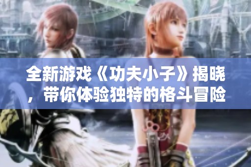 全新游戏《功夫小子》揭晓，带你体验独特的格斗冒险之旅