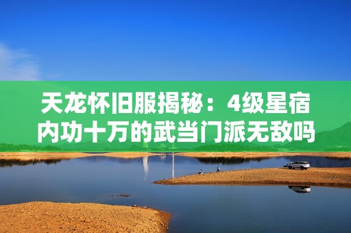 天龙怀旧服揭秘：4级星宿内功十万的武当门派无敌吗？