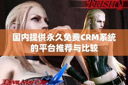 国内提供永久免费CRM系统的平台推荐与比较