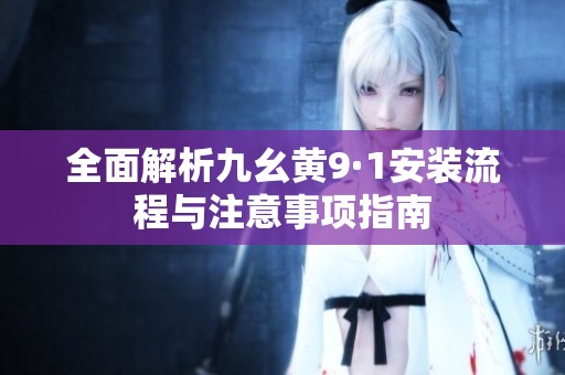 全面解析九幺黄9·1安装流程与注意事项指南