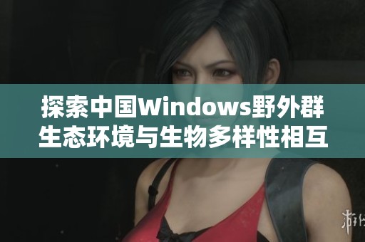 探索中国Windows野外群生态环境与生物多样性相互关系
