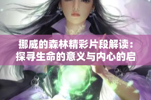 挪威的森林精彩片段解读：探寻生命的意义与内心的启示