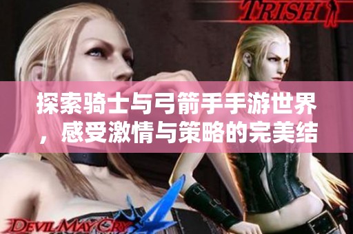 探索骑士与弓箭手手游世界，感受激情与策略的完美结合