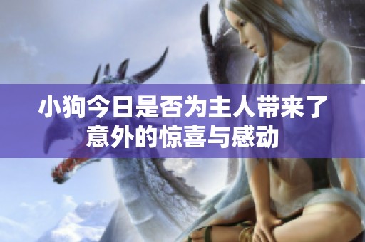 小狗今日是否为主人带来了意外的惊喜与感动