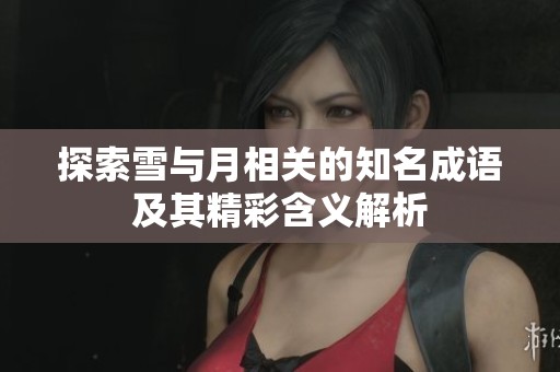 探索雪与月相关的知名成语及其精彩含义解析
